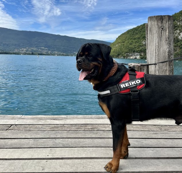 Centre Cynophile de Ruy - photo 2