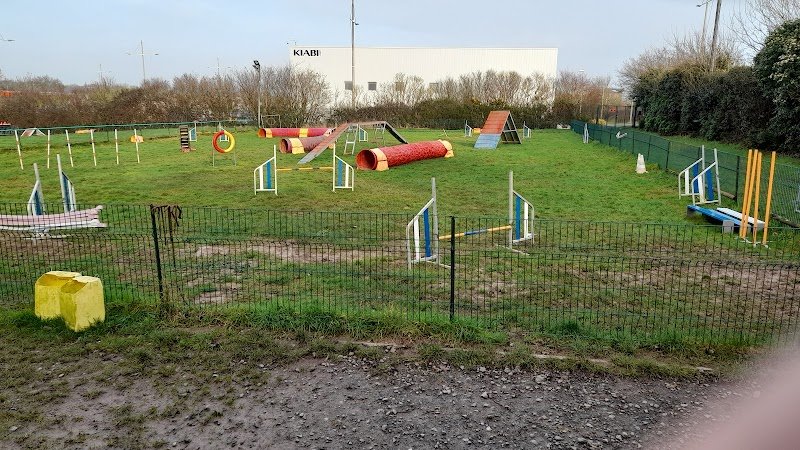 CLUB EDUCATION CANINE AGILITY DU BOULONNAIS - photo 1