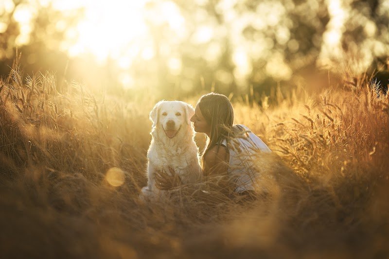 Educateur canin bien-être - Ariane - photo 1