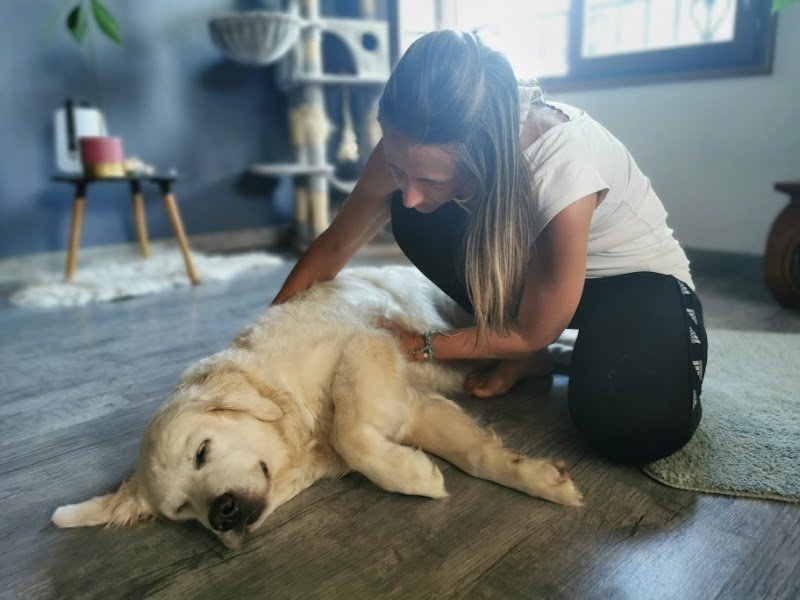 Educateur canin bien-être - Ariane - photo 3