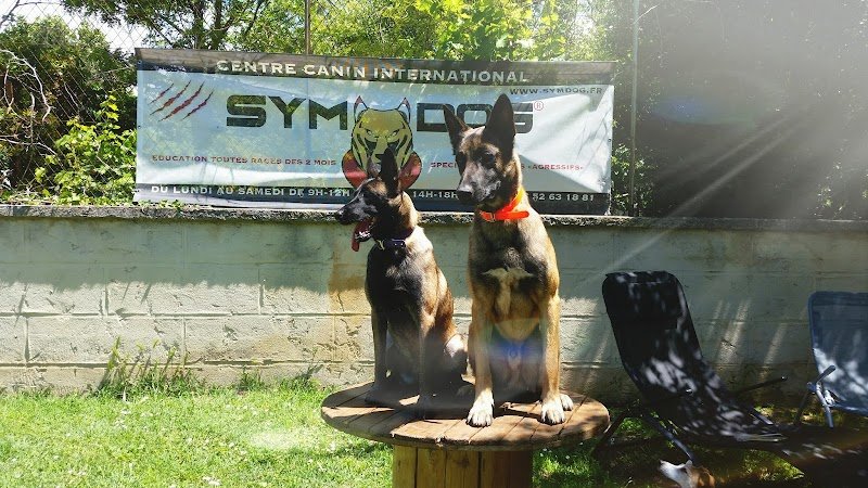 Team dog des Savoies - photo 1