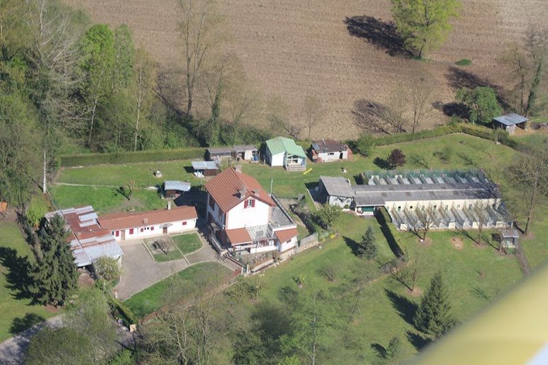 Pension canine d'Aoste - photo 1