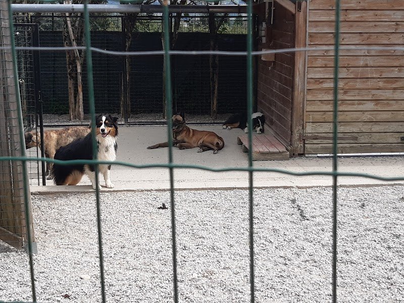 Dauphiné Education Canine - photo 3