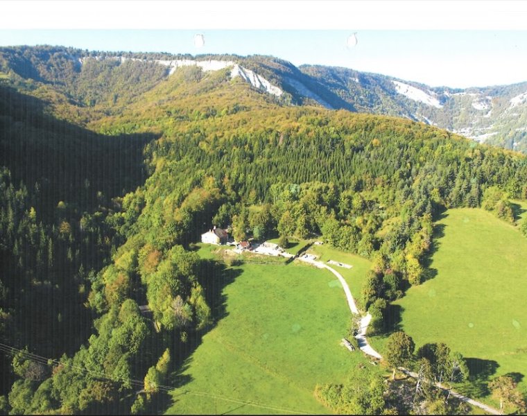 Pension canine du sapin, Pension pour chien - photo 1