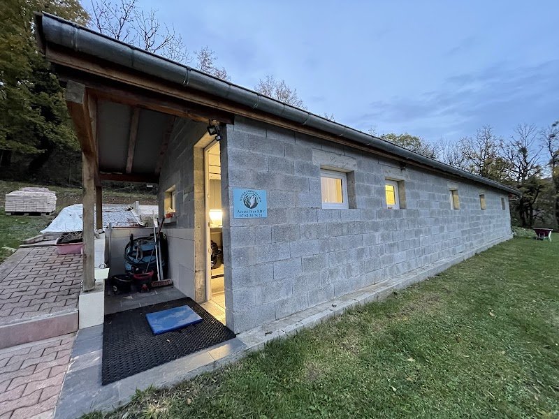 Pension canine du sapin, Pension pour chien - photo 3