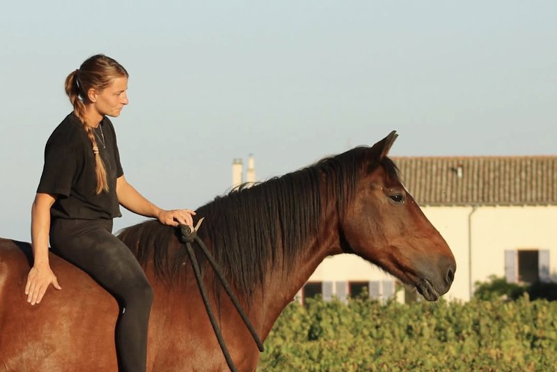 Au Val de Ginkgo - Comportementaliste équin - photo 1