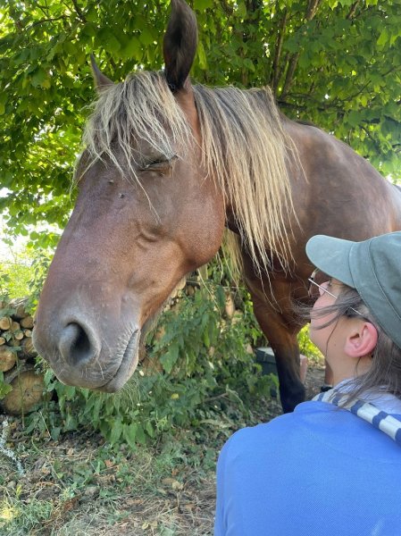 Au Val de Ginkgo - Comportementaliste équin - photo 2