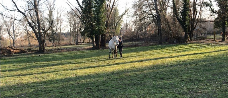 Au Val de Ginkgo - Comportementaliste équin - photo 3