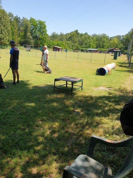 Club d'éducation canine Goubetois