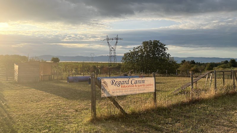 Regard Canin- Julie Éducateur et Coach Canin