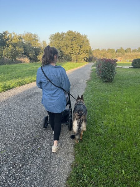Regard Canin- Julie Éducateur et Coach Canin - photo 3