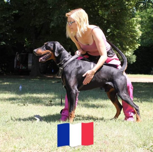 Argos Canizen éducation canine - photo 2