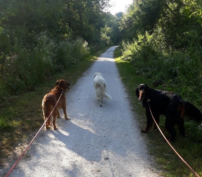 Apprentis Sages Canins - photo 3