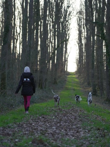 Mialou à la rescousse : éducateur comportementaliste canin