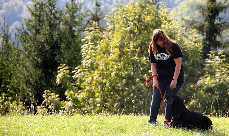 Anilove - Éducatrice Canin - photo 1