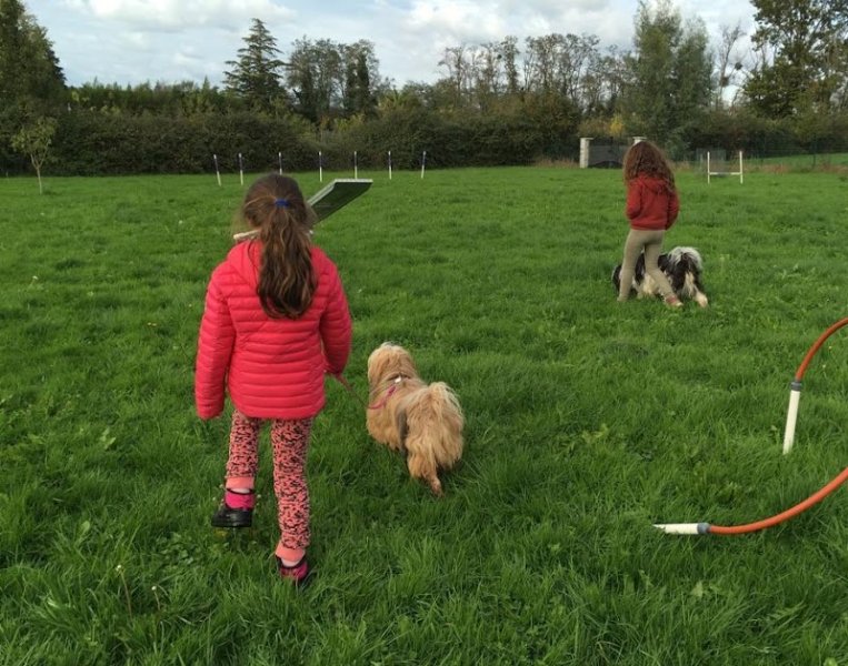 Anilove - Éducatrice Canin - photo 3