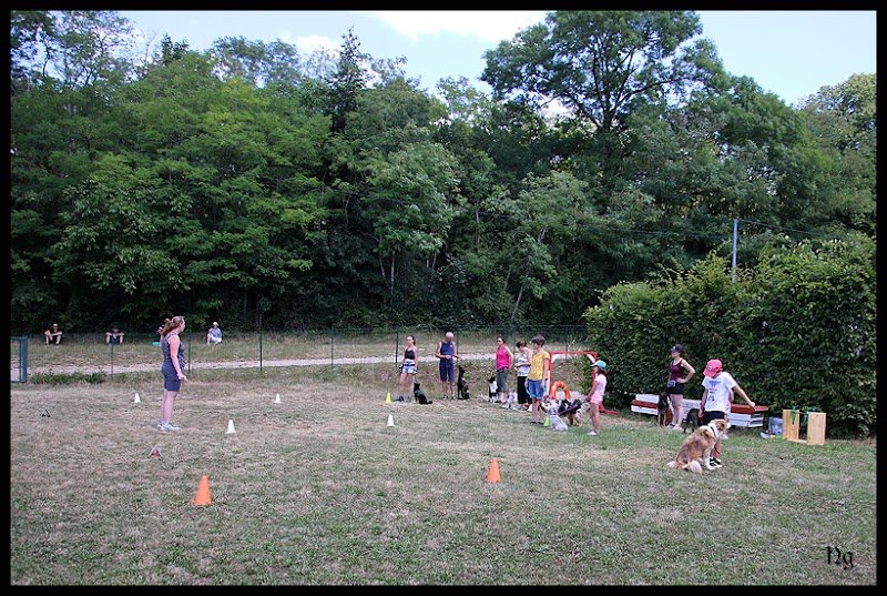 CESC Cesancey (Club d'Education et de Sports Canins Cesancey)