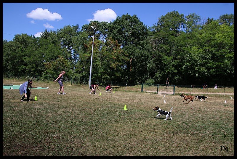 CESC Cesancey (Club d'Education et de Sports Canins Cesancey) - photo 3