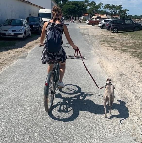 Hélène Éducation Canine - photo 2