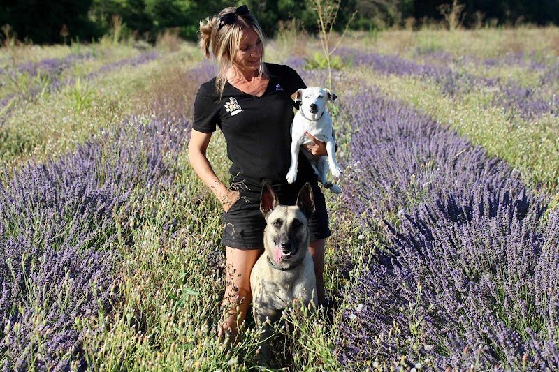 Educa'Priss Educateur Comportementaliste Canin à domicile - Drôme Ardèche