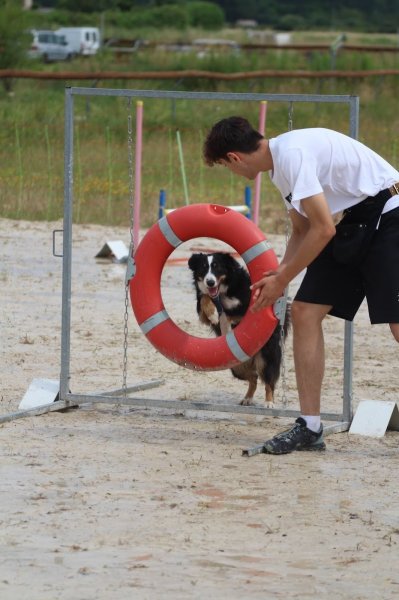 Educa'Priss Educateur Comportementaliste Canin à domicile - Drôme Ardèche - photo 3