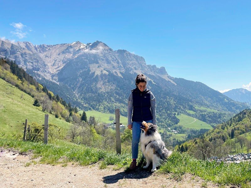 Aroha Dogs - photo 1