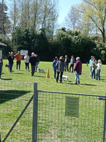 Entente Canine du Val Gelon - photo 1