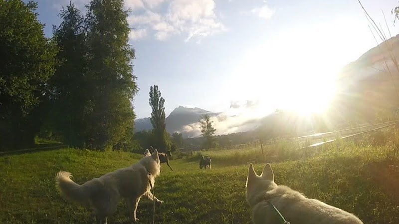 Centre D’Accueil et de Formation Canin Hte Tarentais - photo 1