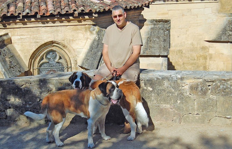 Joel Chevillard Educateur Comportementaliste Canin Certifié