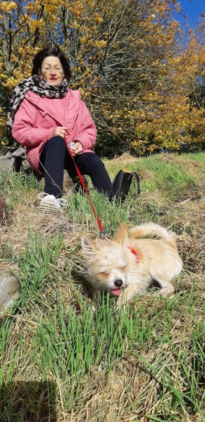 Joel Chevillard Educateur Comportementaliste Canin Certifié - photo 2