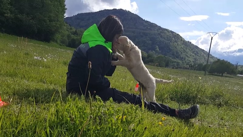 Éducateur canin Education canine celine dog 73 - photo 2