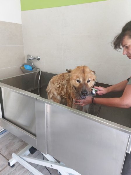 Au Jardin Canin - photo 1