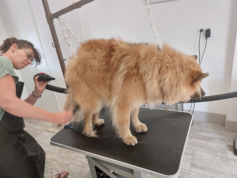 Au Jardin Canin - photo 2