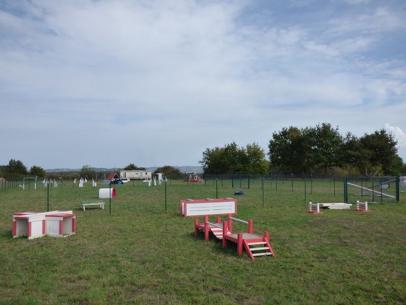 Les Dingos Club Canin - photo 1