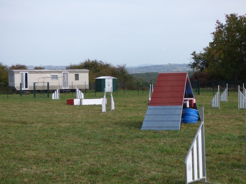 Les Dingos Club Canin - photo 2