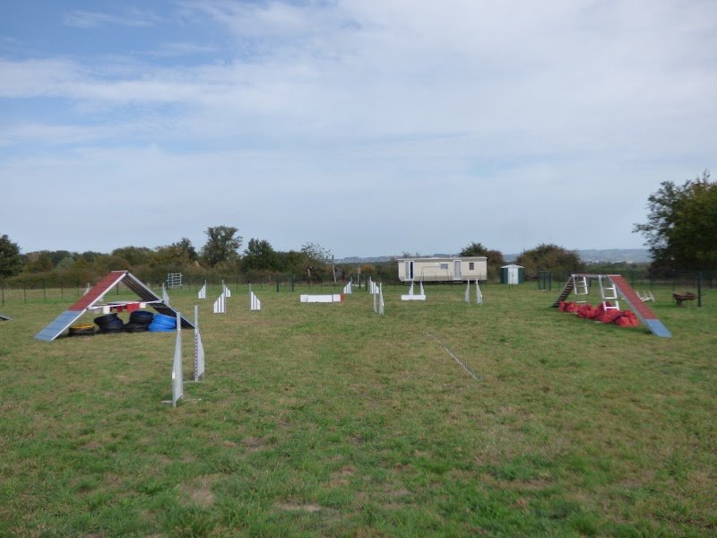 Les Dingos Club Canin - photo 3