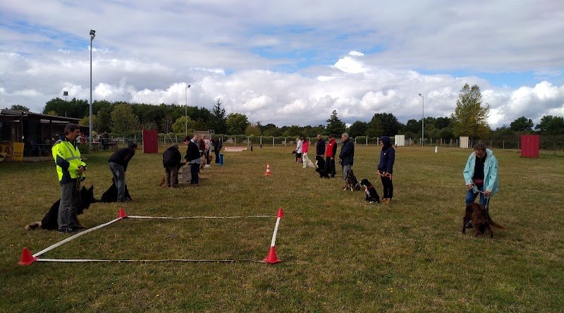 Amicale Canine Domératoise - photo 3