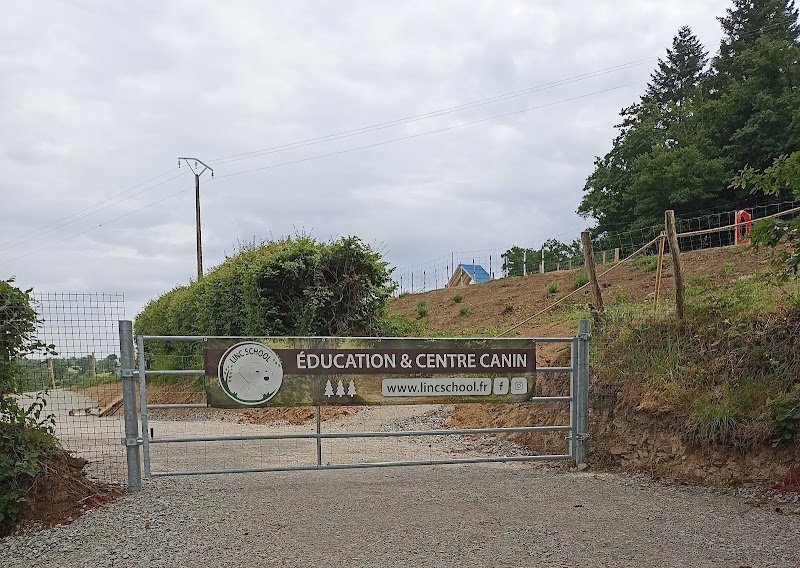 LINC School - Éducation et coaching canin - photo 3