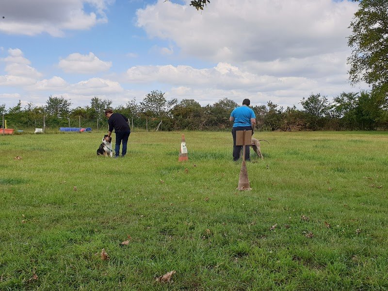 Centre canin des gardiens de feu Complexe canin Stay Pawsitive - photo 1