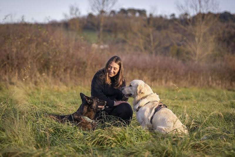 Doggy Pawsitive - Educatrice canin en méthode positive - Gannat, Coutansouze, Vichy