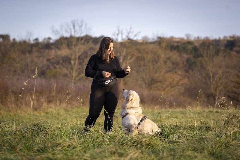 Doggy Pawsitive - Educatrice canin en méthode positive - Gannat, Coutansouze, Vichy - photo 2