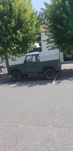 Nature Dog 03 - photo 1