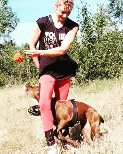 L'wild dog éducation positive et bienveillante - photo 2