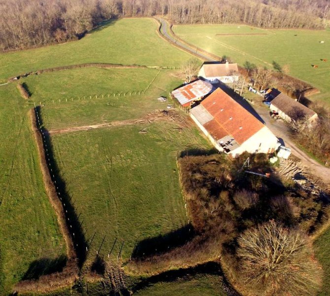 Le QG des 4 pattes - Elevage canin - photo 1