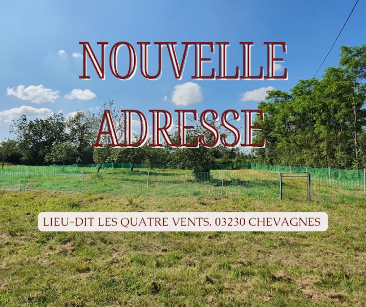 ARGOS éducation canine - photo 1