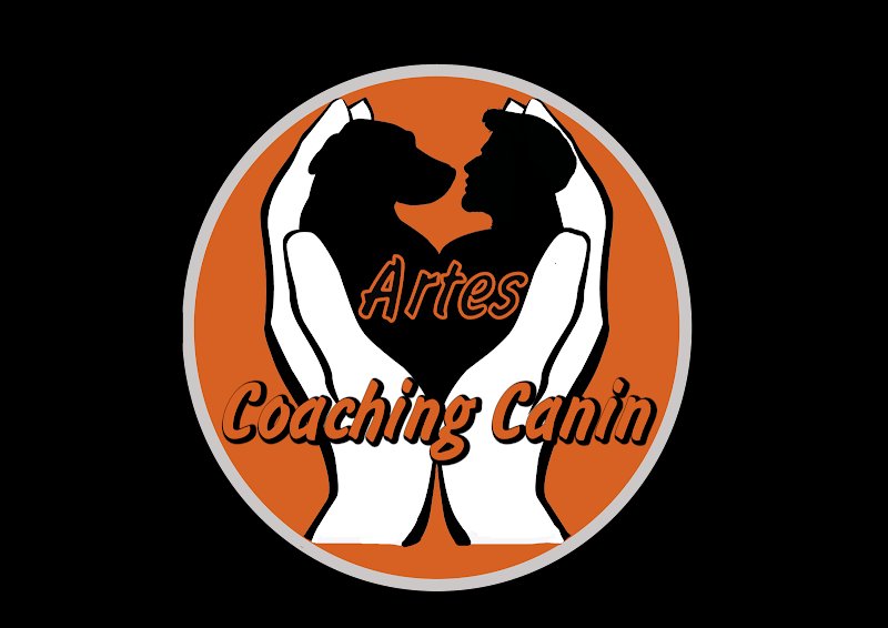 artes coaching canin - photo 1