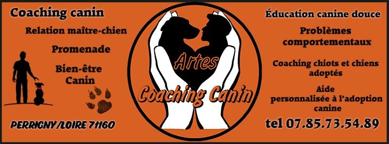 artes coaching canin - photo 2