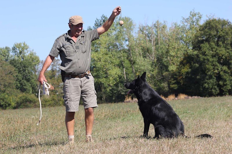 Centre Canin La Faye - Pension, élevage, éducation canine - photo 3