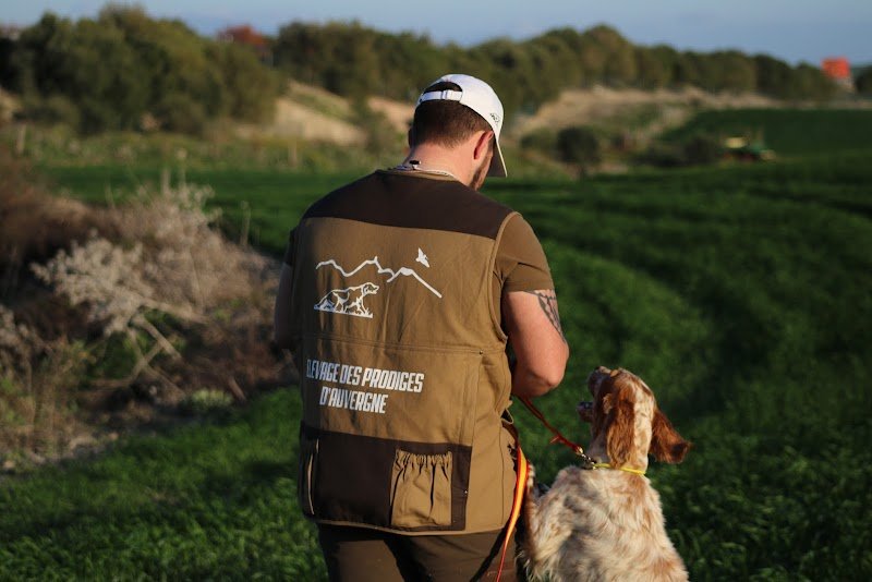 Pension Élevage Dressage des Prodiges d'Auvergne - photo 1