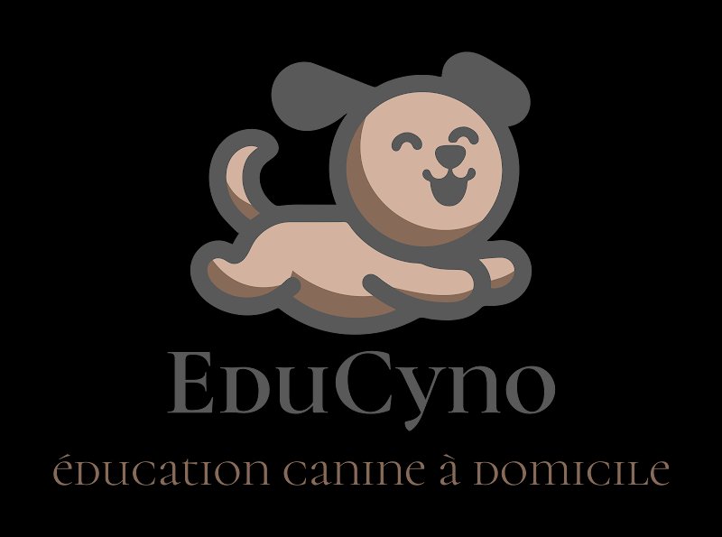 educyno éducation canine à domicile - photo 3